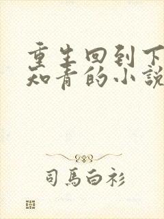 重生回到下乡当知青的小说