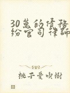 30万的债务纠纷官司律师收费标准