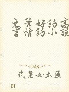文笔好的高质量言情的小说