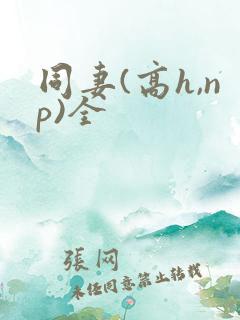同妻(高h,np)全