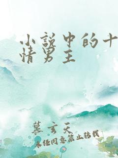 小说中的十大深情男主