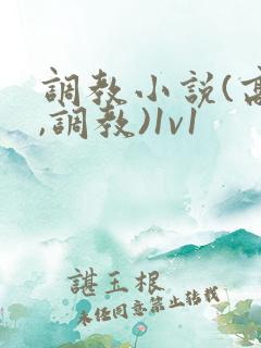 调教小说(高h,调教)1v1