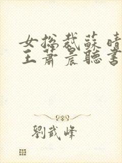 女总裁苏晴与兵王萧晨听书