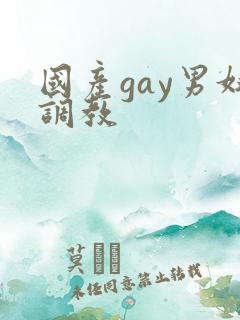 国产gay男奴调教