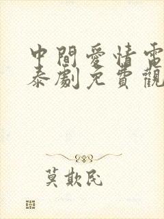 中间爱情电视剧泰剧免费观看全集