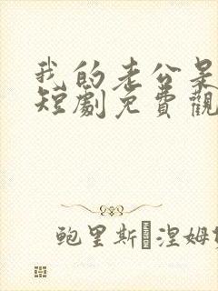 我的老公是豪门短剧免费观看全集