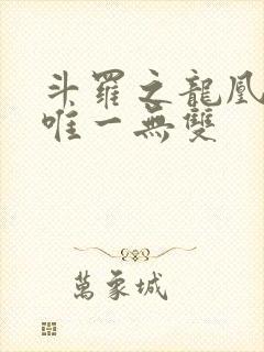 斗罗之龙凰传说唯一无双