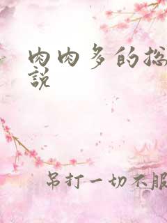 肉肉多的总裁小说