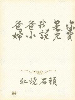 爸爸我是你儿媳妇小说免费阅读