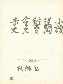 赤命难从小说全文免费阅读