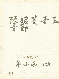 陆昭菱晋王最新章节