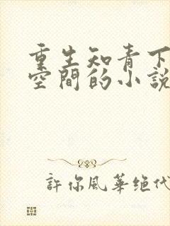 重生知青下乡有空间的小说