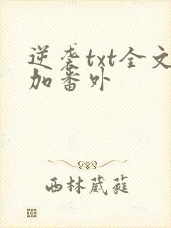 逆袭txt全文加番外