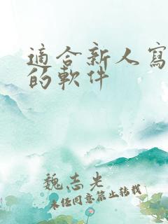 适合新人写小说的软件