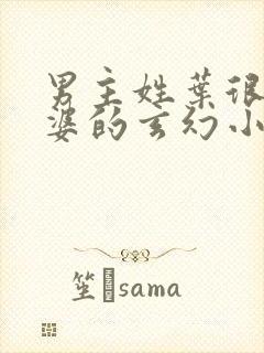 男主姓叶很多老婆的玄幻小说