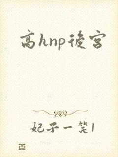 高hnp后宫