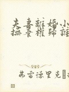 夫妻离婚小孩的抚养权归谁