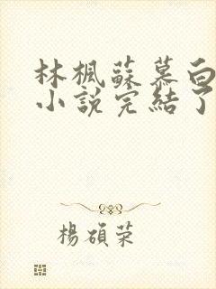 林枫苏慕白穿越小说完结了吗怎么看