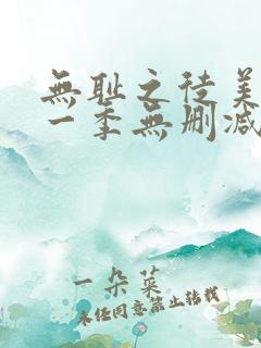 无耻之徒美版第一季无删减高清