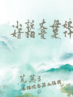 小说丈母娘和女婿相爱是什么小说