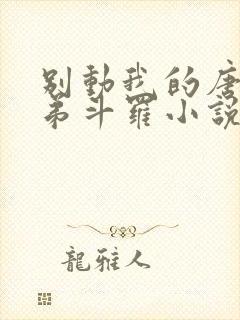 别动我的唐三弟弟斗罗小说