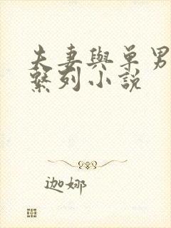 夫妻与单男交友系列小说