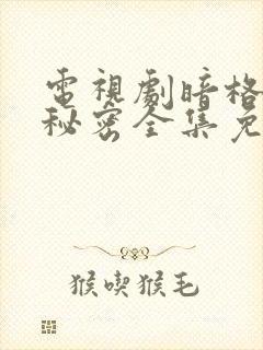 电视剧暗格里的秘密全集免费观看