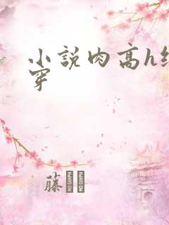 小说肉高h纯快穿