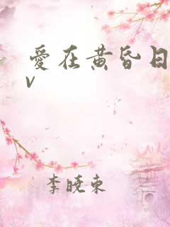 爱在黄昏日落时v
