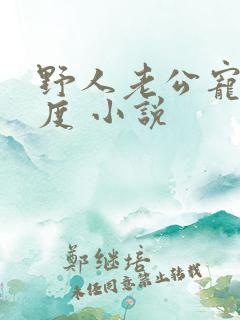 野人老公宠妻无度 小说