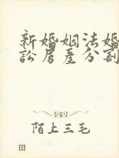 新婚姻法婚姻诉讼房产分割纠纷