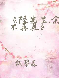 《陆先生,余生不再见》
