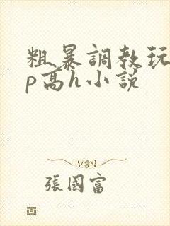 粗暴调教玩弄np高h小说