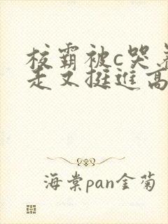 校霸被c哭着爬走又挺进高h双男主