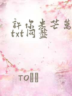 许你光芒万丈好txt网盘