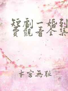 短剧一婚到底免费观看全集高清