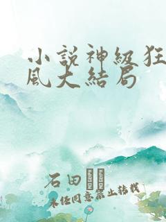 小说神级狂婿岳风大结局