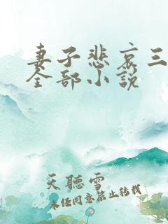 妻子悲哀三部曲全部小说