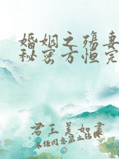 婚姻之殇妻子的秘密方恒完整版