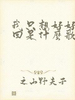 我只想好好爱一回是什么歌