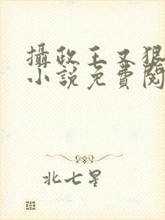 摄政王又狠又凶小说免费阅读