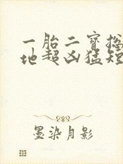 一胎二宝总裁爹地超凶猛短剧免费全集