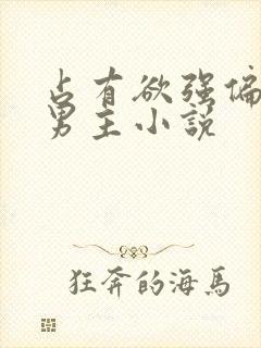 占有欲强偏执双男主小说