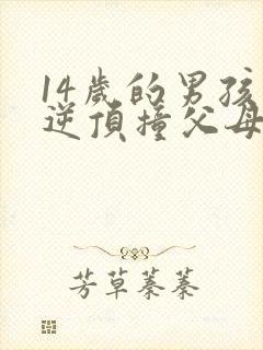 14岁的男孩叛逆顶撞父母怎么办