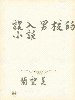 误入男校的女生小说