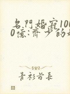 名门婚宠1000亿:齐少的娇妻