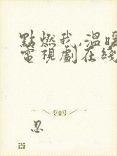 点燃我,温暖你电视剧在线免费观看30集