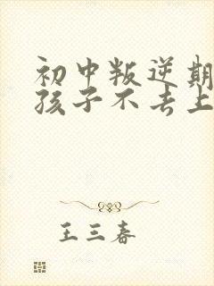 初中叛逆期的男孩子不去上学怎么去引导