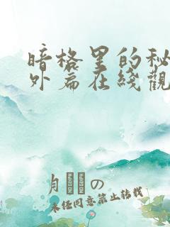 暗格里的秘密番外篇在线观看