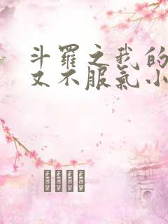 斗罗之我的系统又不服气小说